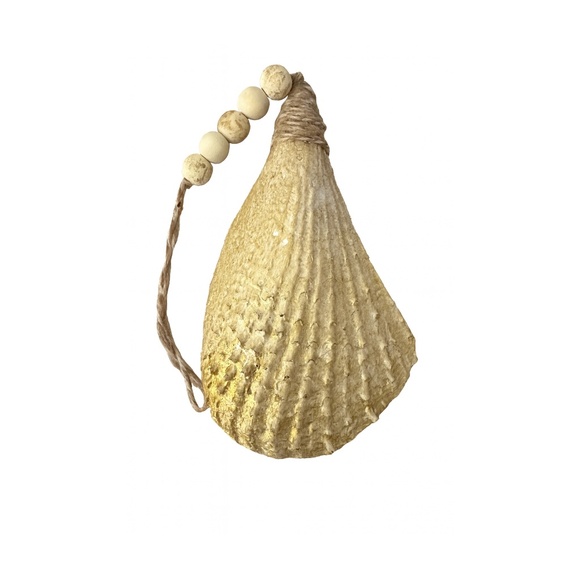 Angel Pen Shell Ornament | Gold Back & Gilded Edges - Picture 2 of 4